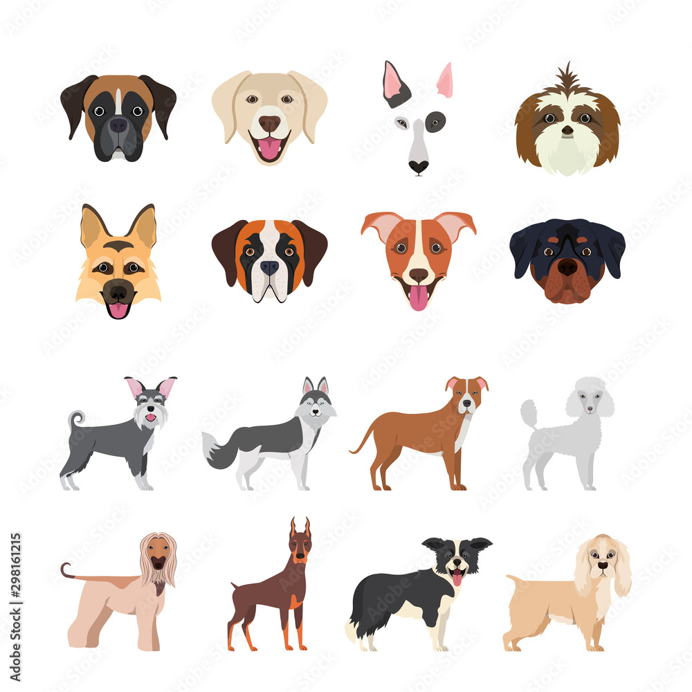 bundle of dog breeds group