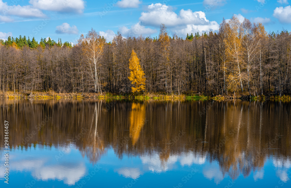The autumn forest surrounds a beautiful forest lake on the surface of which the blue sky is reflected