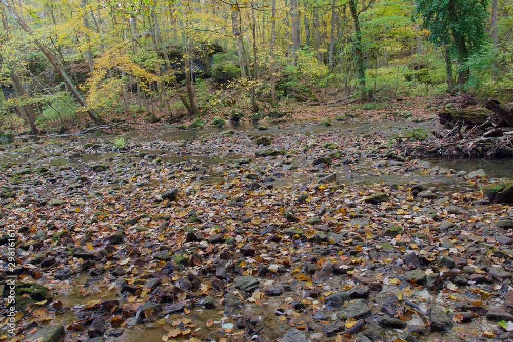 Numerous small rocks exposed by drying river bed. Wet rocks covered in leaves during the fall. Natural formation by running water. Numerous small rocks exposed by drying river bed. Wet rocks covered in leaves during the fall. Natural formation by running water.