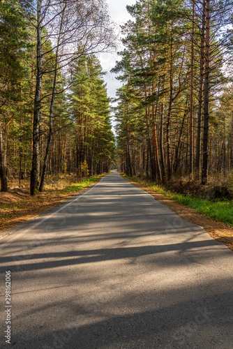 a winding asphalt road passes through a beautiful autumn forest