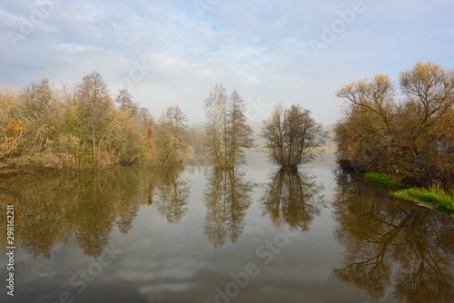 Morning on the river, trees are reflected in the water.