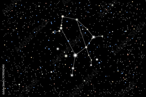 Vector illustration of the constellation Ophiuchus (serpent-bearer) on a starry black sky background. The astronomical cluster of stars in the constellation straddling the celestial equator. 13th sign