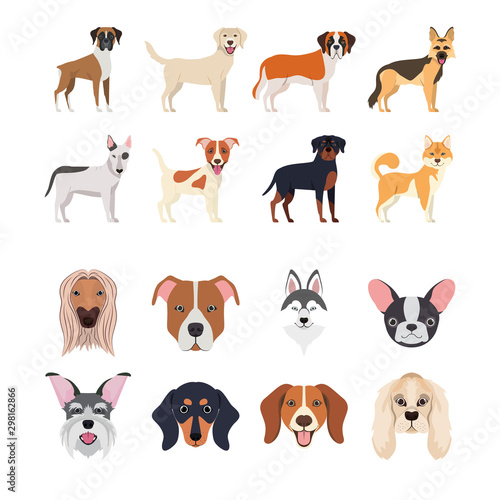 bundle of dog breeds group
