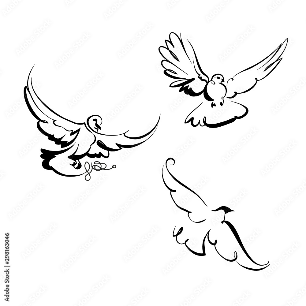 Fototapeta premium dove of peace
