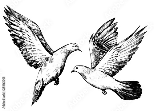 Set of vintage style vector illustration. Beautiful flying pigeons. Hand drawn graphic picture. Digital sketches of animals and bird. Design element for poster, print, postcard, t-shirt etc.