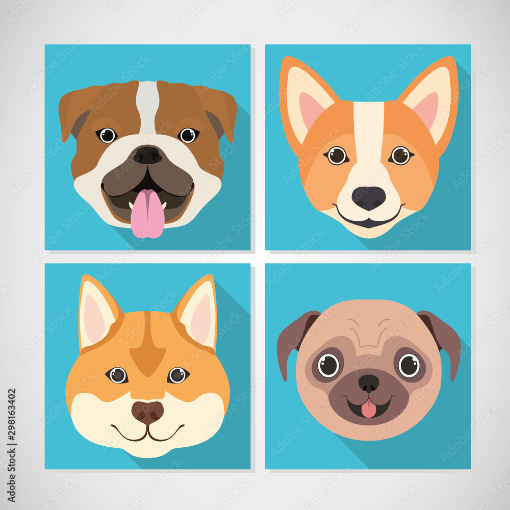 bundle of dog breeds group bundle of dog breeds group