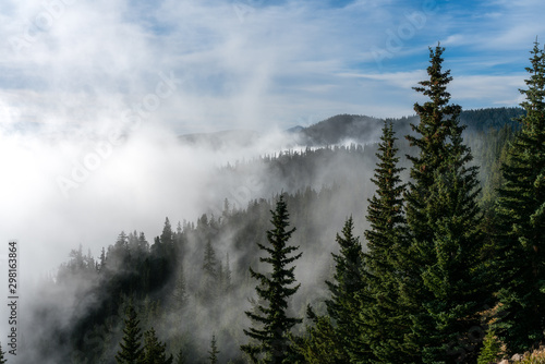 Foggy Fall Morning in Colorado © bwolski