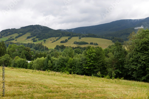 Summer Landscape in the Mountain Jesenik, Czech Republic