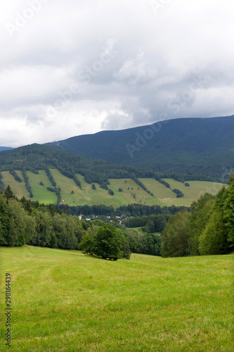 Summer Landscape in the Mountain Jesenik, Czech Republic