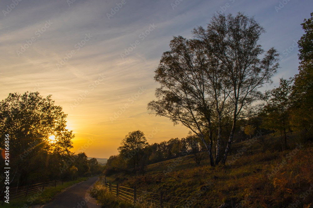 Fototapeta premium Autumn countryside sunset walk