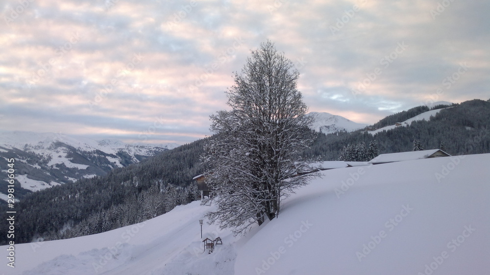 Obraz premium landscape with trees and mountains in winter