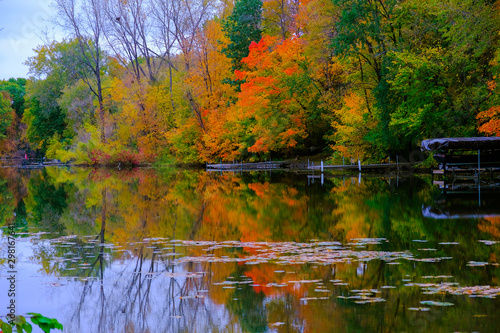 Fototapeta Naklejka Na Ścianę i Meble -  Golden autumn park,Autumn forest lake water landscape, Forest lake in fall, USA