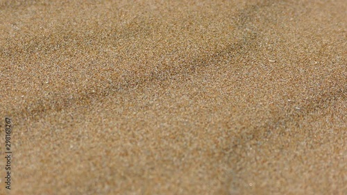Strong wind. The small sand dunes on the beach move from the force of the wind.