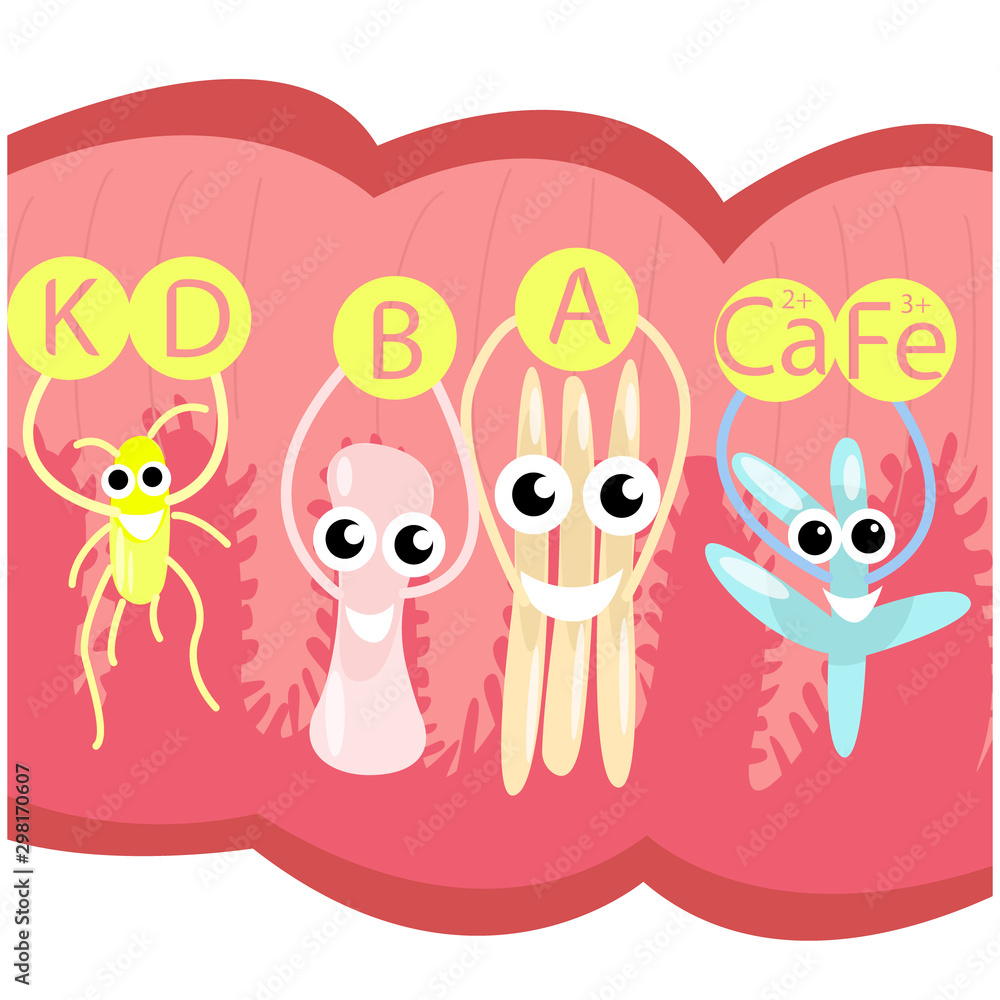 Vector cartoon illustration of probiotics and beneficial bacteria in the intestinal cavity that