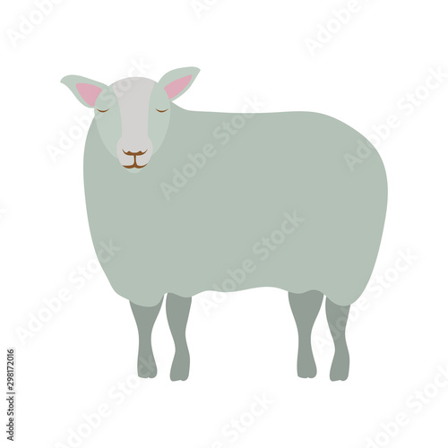 cute sheep manger animal character