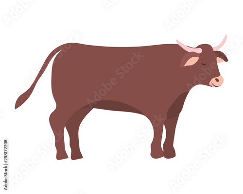 cute ox manger animal character photo