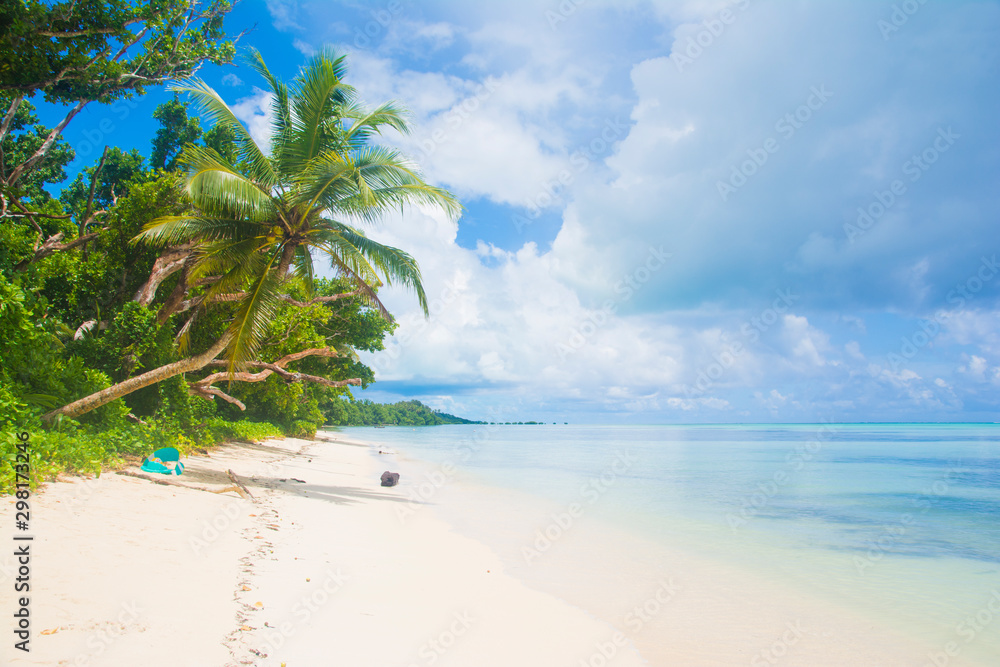 Tropical white beach and blue ocean, Ngaraard state, Palau, Pacific