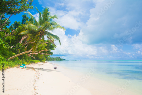 Fototapeta Naklejka Na Ścianę i Meble -  Tropical white beach and blue ocean, Ngaraard state, Palau, Pacific
