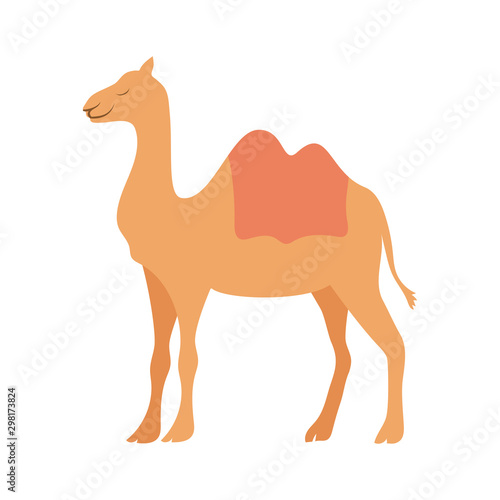 cute camel manger animal character