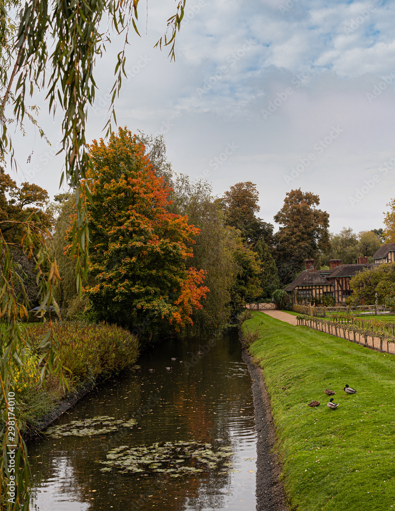 autumn in the park autumn in the park