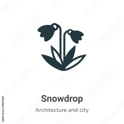 Snowdrop vector icon on white background. Flat vector snowdrop icon symbol sign from modern farming and gardening collection for mobile concept and web apps design.