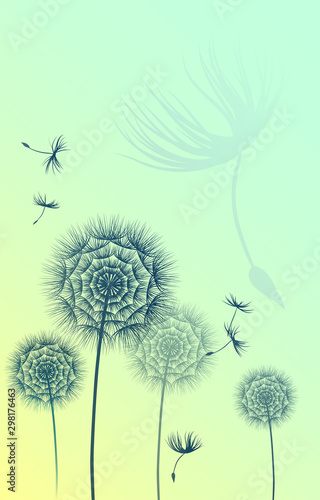 Blue dandelions flowers and flying seeds. Vector gradient design. Abstract floral collage. Splash trends paints. 
