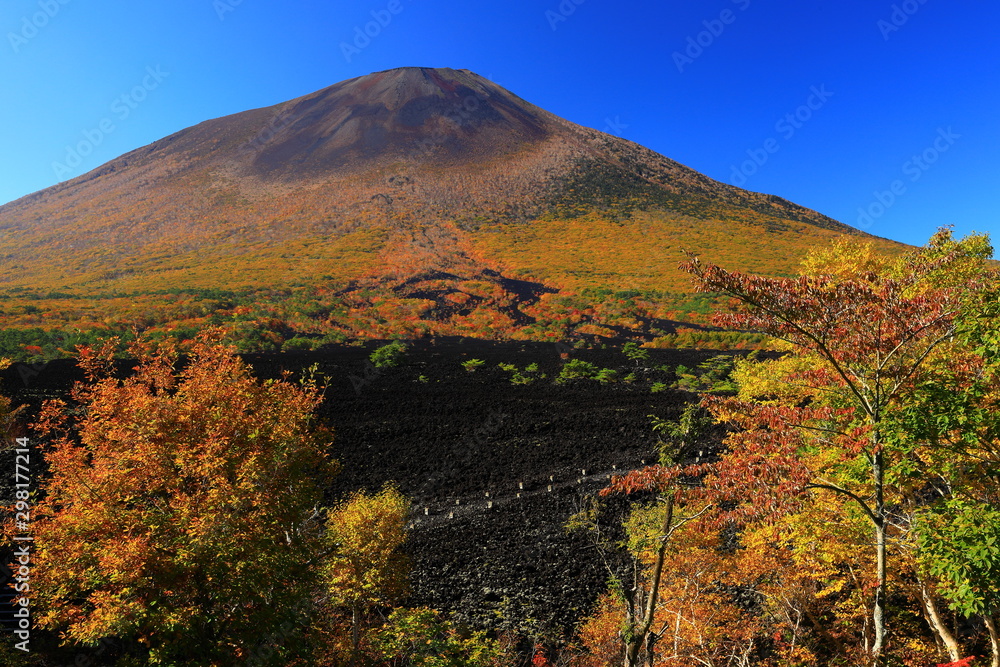 Obraz premium 岩手山と焼け走り溶岩流の紅葉