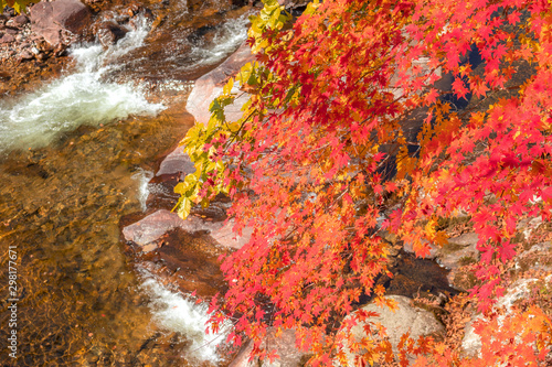 autumnal scenery of mountains stained with autumn foliage.