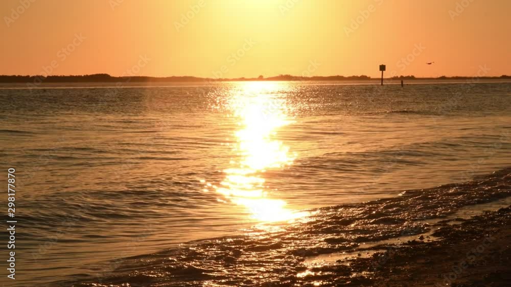 Ocean view at sunset at Dunedin Causeway in Dunedin, Florida, USA. 2 fish jumping separately out of the water. Golden sun on ocean. Birds in the sky. Life is a mere dream. Ocean view at sunset at Dunedin Causeway in Dunedin, Florida, USA. 2 fish jumping separately out of the water. Golden sun on ocean. Birds in the sky. Life is a mere dream.