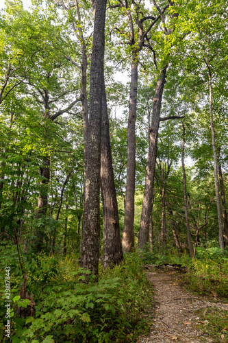 Great Smoky Mountains National Park