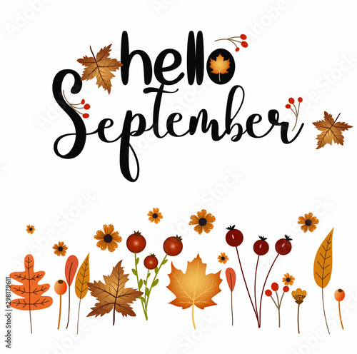 Hello September month with  Autumn flowers and leaves. Decoration floral. Illustration month September.  