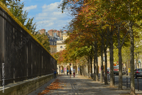 fall in Paris © Lu.C | Photography 