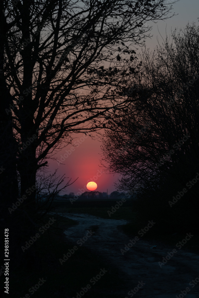 Naklejka premium moody round sunset