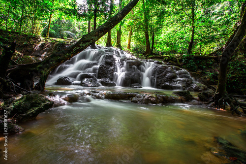 The natural background of waterfalls that blur the flow of water, with various tree species surrounded and boulders of various sizes, the beauty of the ecosystem and the jungles of forests.