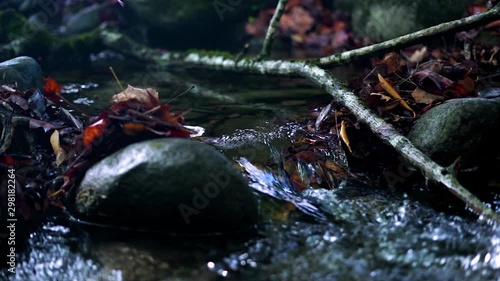 Slow motion of leaves falling in cold fresh water in natural waterfall located in dark moody forest around boulders and rocks with shallow depth of field