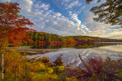 紅葉と池、空と雲の鏡面反射