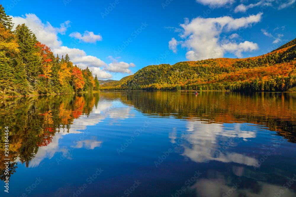 Obraz premium Jesienny las odbity w wodzie.