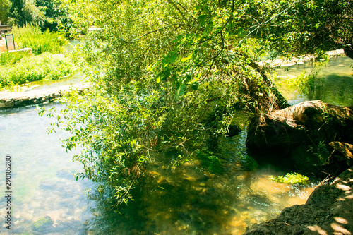 river in forest