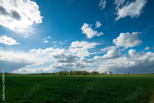 green vegetation and fields in spring