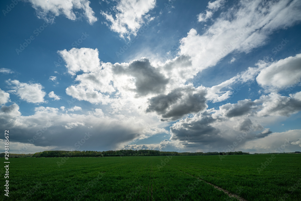 green vegetation and fields in spring green vegetation and fields in spring