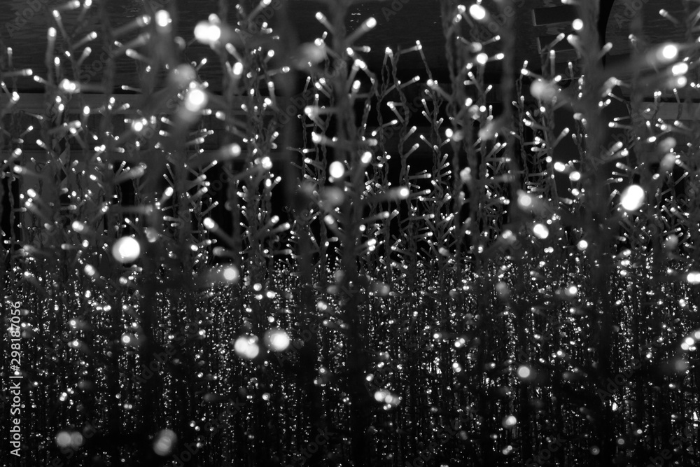 Fototapeta premium christmas holiday lights