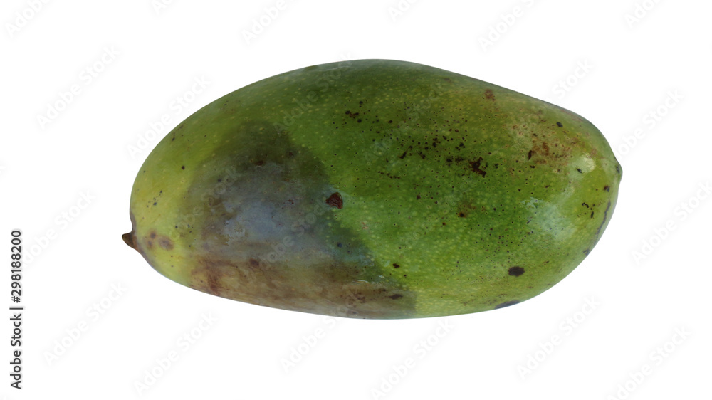 Bad mango on a white background Clipping path Bad mango on a white background Clipping path
