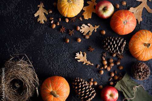 Autumn frame of pumpkins, tree leaves, hazelnuts on a black textural background. Autumn, fall, thanksgiving concept. Flat lay, copy space.