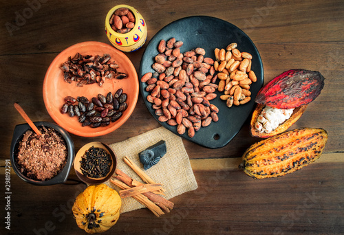 Different stages of Cocoa for chocolate in Colombia