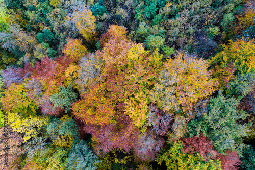 Herbstbild