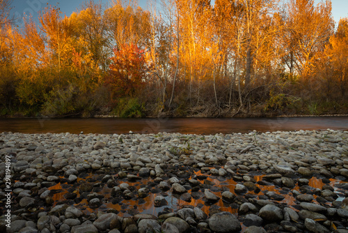 Landscape of the Boise river in Idaho in the fall. Green belt, Boise. photo