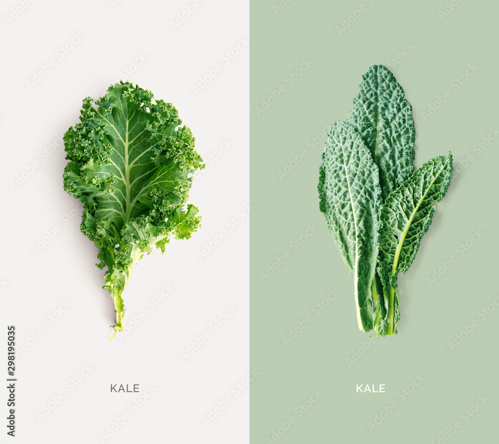 Creative layout made of kale on white background. Flat lay. Food concept. Macro concept. - obrazy, fototapety, plakaty 