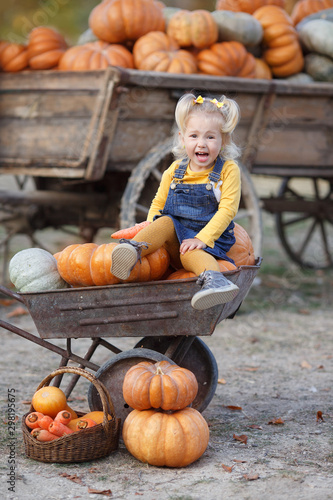 Child picking pumpkins at pumpkin patch. Little toddler girl playing among squash at farm market. Family time at Thanksgiving and Halloween.Little girl having fun on a tour of a pumpkin farm at autumn