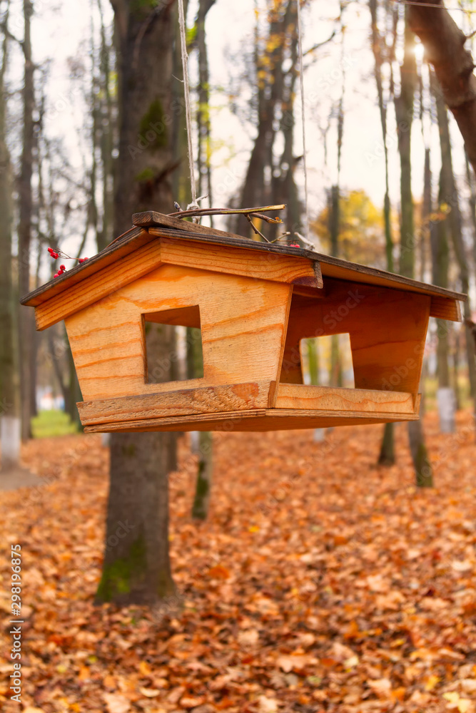 Bird feeders. This feeder made by the caring hands of a person will save many hungry birds in winter from hunger. Bird feeders. This feeder made by the caring hands of a person will save many hungry birds in winter from hunger.