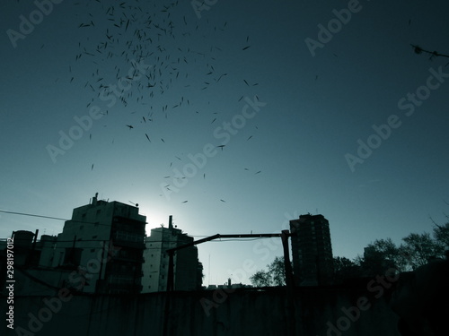 City Sunset